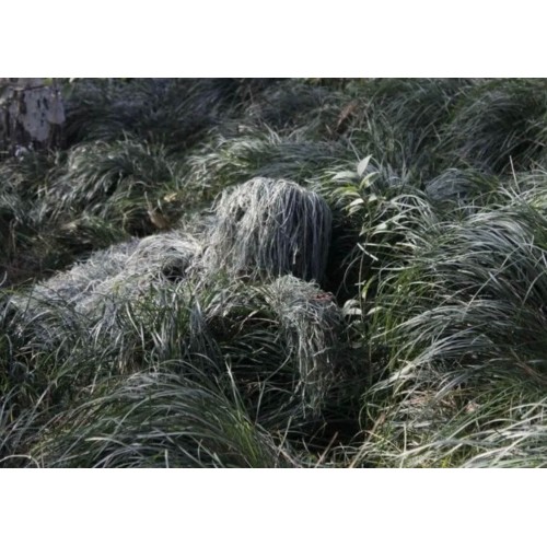 Маскировочный костюм снайпера и разведчика «ЛЕШИЙ» в Курске