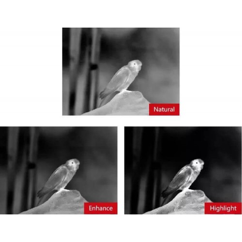 Тепловизионный бинокуляр Guide TN430 400х300, ø35мм, лазерный дальномер в Курске