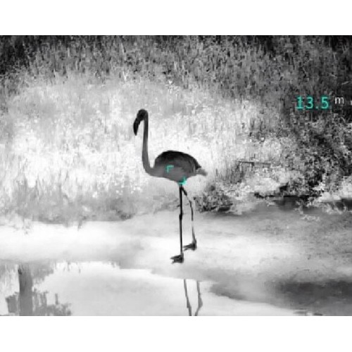 Тепловизионный бинокуляр Guide TN430 400х300, ø35мм, лазерный дальномер в Курске