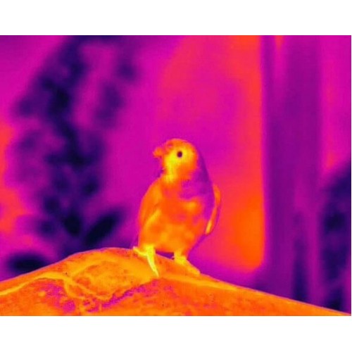 Тепловизионный бинокуляр Guide TN430 400х300, ø35мм, лазерный дальномер в Курске